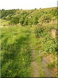 SE1220 : Footpath from Upper Edge to Lower Edge, Elland by Humphrey Bolton