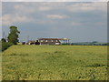 Wheat field and farm buildings, near Oakley