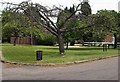 Village Green and Sign at Bendish