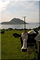 Clauchlands Farmland, Lamlash, Arran