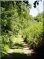 Footpath beside Sheephouse Copse