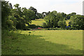 Fields between Colden Common and Brambridge