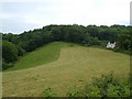 Boreston Foot and Crowdown Copse