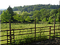 View towards Gorley Hill from Ibsley Common, New Forest