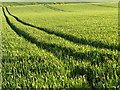 Farmland near Keir House