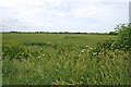 Countryside near Scothern