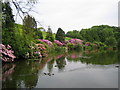 The lake at Raithwaite Hall viewed from the public footpath