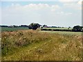 Footpath to Dunstall Green