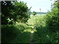 Farm Track, North of Rockbourne