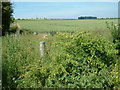 View towards Toyd Down, Hampshire