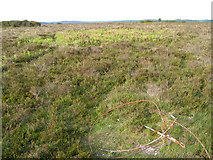 SU1710 : Bronze age and 20th century relics on Ibsley Common, New Forest by Jim Champion