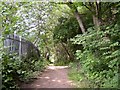 Footpath at Wood End, Salford, Almondbury