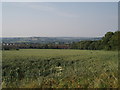 Saltford through the fields