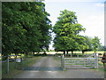 Driveway to Bowers Hill Farm