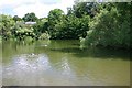 Village pond at Lidgate