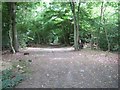 Footpath from Tanners Farm