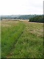 Path through grass, Chesham Bois