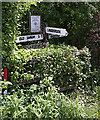 Overgrown signpost in Ford village, nr Salisbury