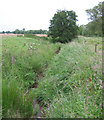 Drainage ditch, Norbury meres