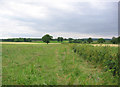 Farmland at Holtridge