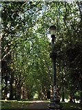 ST6273 : Tree lined avenue in St. George Park by Duncan Gammon