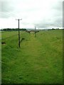 Railbed for the Darvel & Strathaven Railway.