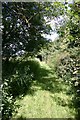 Footpath to Depden Church