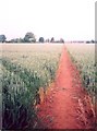 Footpath, Drayton