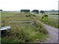 Track to Gutteridge Farm