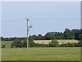 Fields near Rhodes Minnis