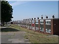 Terraced Housing, 1960