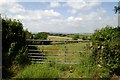 Field, Widlake Farm