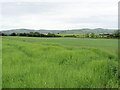 Glenminton Townland