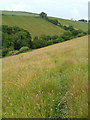 Footpath to Broadridge