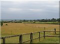 Grassed farmland