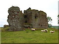 NT7323 : Cessford Castle by Lisa Jarvis