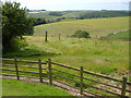 View from Bruckton Farm