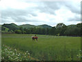 The Scaur Valley, Dumfriesshire