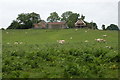 SO2245 : Barns at Cwm-bwllfa by Philip Halling