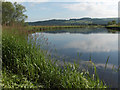 River Forth