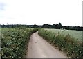 Single track lane between Westwell Leacon and Little Chart