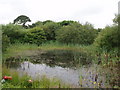 Pond near Crahan