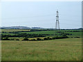 Pylon in a field