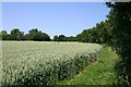 Footpath to Purton Green