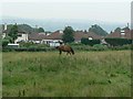 Field behind Jackman Drive, Horsforth