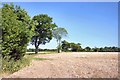 Footpath between Rede and Pound Green