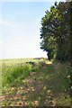 Footpath to Great Whelnetham