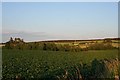 Looking towards Inchstelly in rural Morayshire