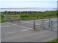 NB4943 : Cattle Grid at Gress by Donald Lawson