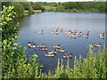 Lake in Hazelslade Local Nature Reserve